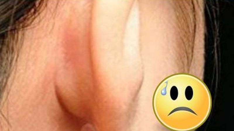 门户网站上线周期揭秘：影响速度的关键因素