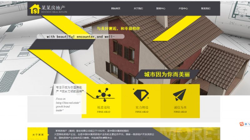 网站托管安装步骤详解：轻松掌握，无忧上线